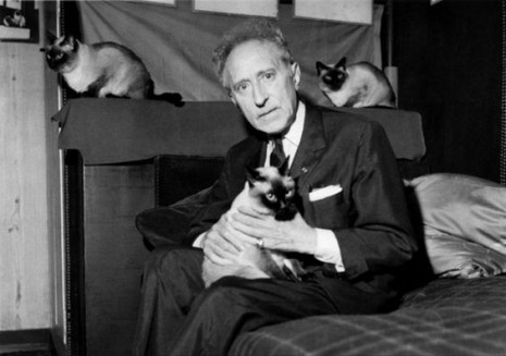 Cocteau and cats